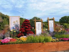 -北京十三陵国家森林公园蟒山景区