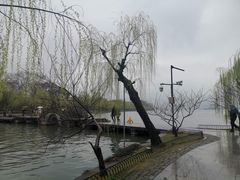 -星巴克(西湖天地店)