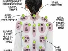 -新紫霞养生·影院足道·SPA(金山区店)