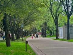 -唐城墙遗址公园