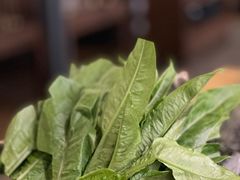 -湊湊火锅·茶憩(东城民盈国贸城店)