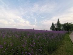 -南北湖风景区