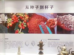 -MUSEO COFFEE咖啡博物馆