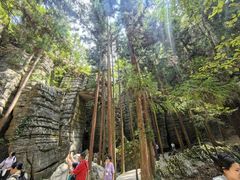 -梭布垭石林景区