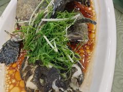 -湛江渔港·大排档(乐园路总店)