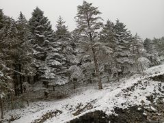 -硗碛藏寨·神木垒景区