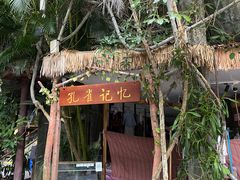 -西双版纳原始森林公园