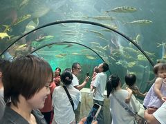 -洛阳龙门海洋馆
