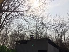 -翡翠森林宠物火化殡葬(通州店)