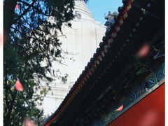 -妙应寺白塔