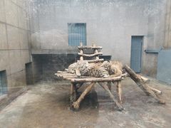 -西安秦岭野生动物园