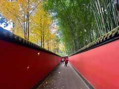 -成都武侯祠博物馆