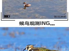 -野鸭湖国家湿地公园