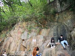 -上海佘山国家森林公园西佘山园