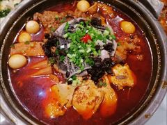 -眉州东坡(民族园店)