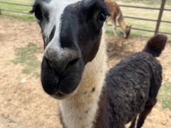 -南京金牛湖风景区