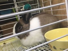 -藦茜花园宠物主题亲子互动体验馆(国顺东路店)