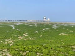 -ChanDu躔度咖啡(灯塔店)