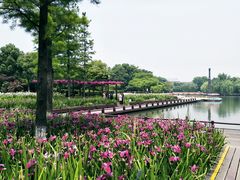 -圩墩遗址公园