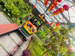 -南宫五洲植物乐园