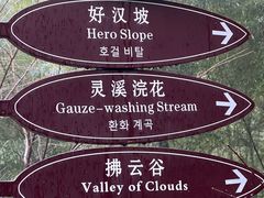 -宁波浙东大竹海景区