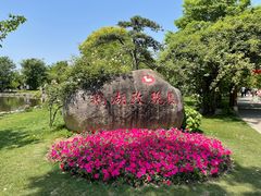 -鹅湖玫瑰文化园