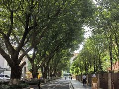 -南方医科大学南方医院(院本部)