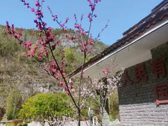 -高荡千年布依古寨旅游景区