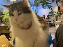 -小时光咖啡馆(北锣鼓巷店)