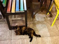 -嘉善老市