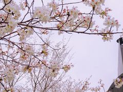 -新天地活力PARK