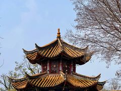 -翠湖公园