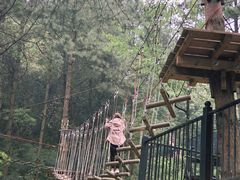 -梦幻奥陶纪景区