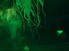 -常州海昌海洋探索馆