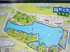 -月湖风景区