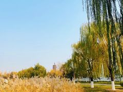 -西海子公园
