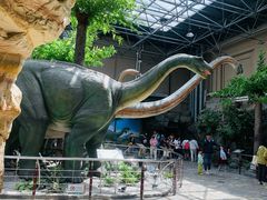 -国家自然博物馆