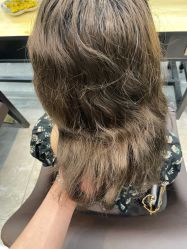 -藤野造型烫发染发