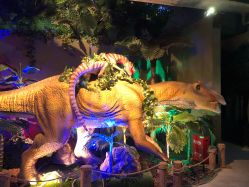 -恐龙探索乐园(磁器口店)