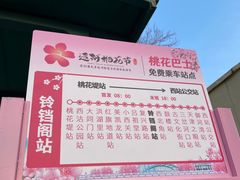 -桃花堤公园