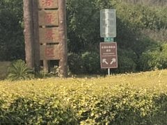 -东湖落雁景区