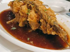 老济南糖醋鲤鱼-金春禧·鲁菜海鲜(延吉路万达店)