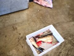 -岳各庄批发市场(西四环中路店)