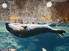-海合安青岛极地海洋公园