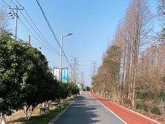 -上海长兴岛郊野公园