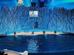 -珠海长隆海洋王国