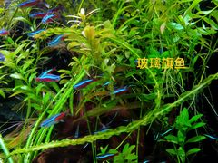 -上海海洋水族馆