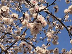 -中国建设银行哈尔滨培训中心