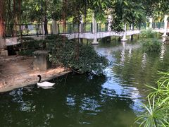-九龙公园