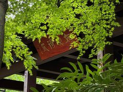 -杭州植物园